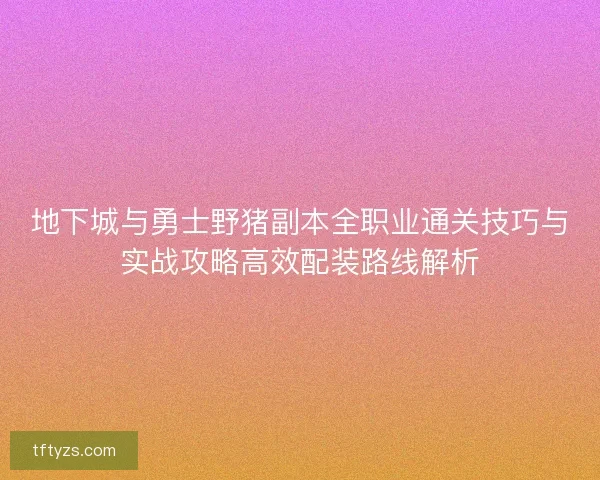 地下城与勇士野猪副本全职业通关技巧与实战攻略高效配装路线解析
