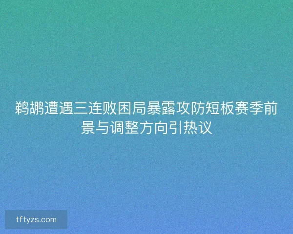 鹈鹕遭遇三连败困局暴露攻防短板赛季前景与调整方向引热议