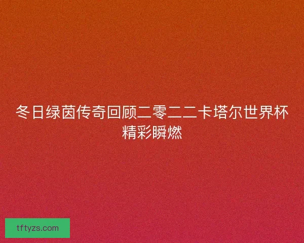 冬日绿茵传奇回顾二零二二卡塔尔世界杯精彩瞬燃